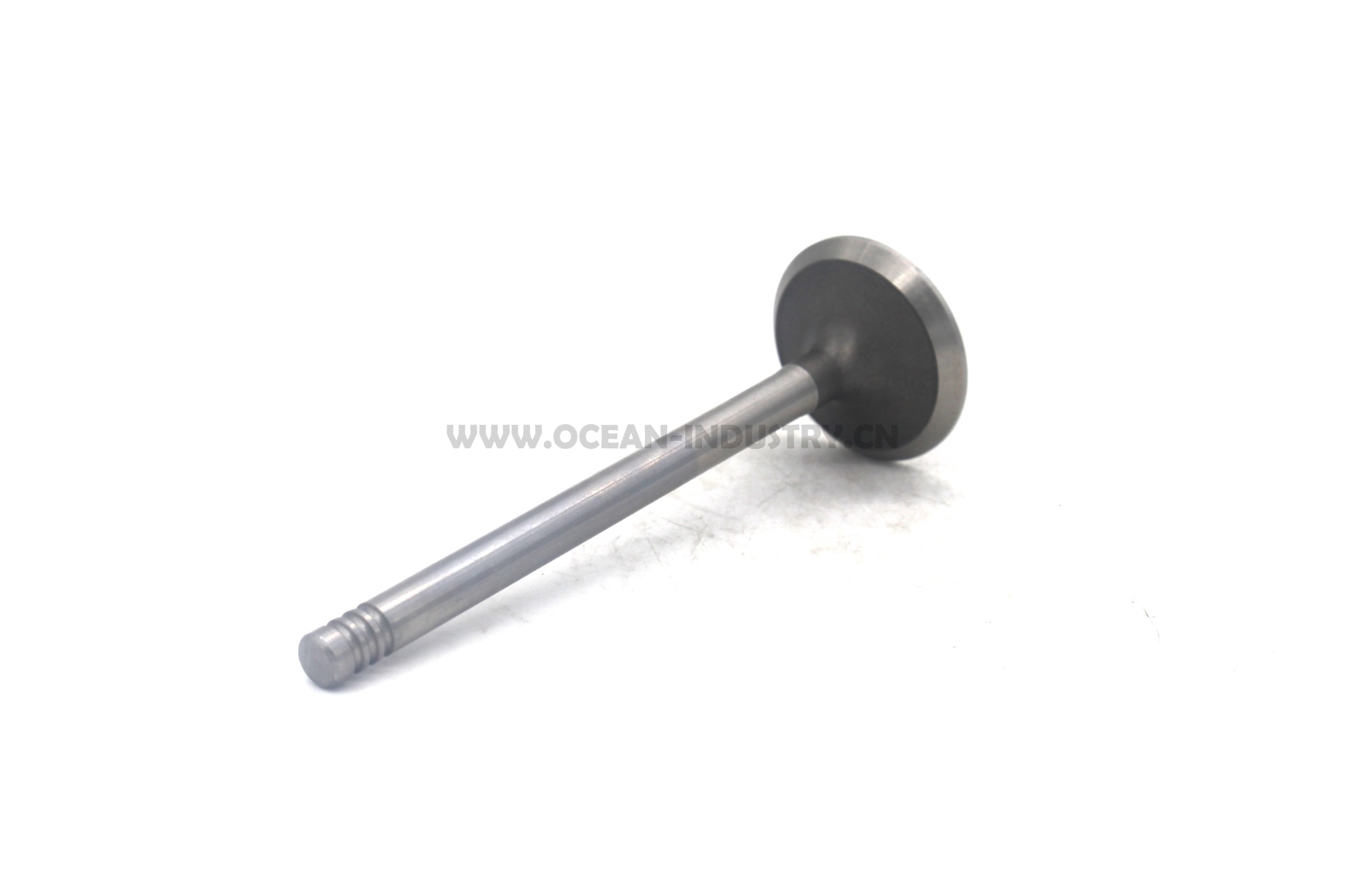 D6E Exhaust valve