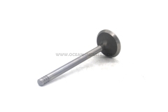 D6E Exhaust valve