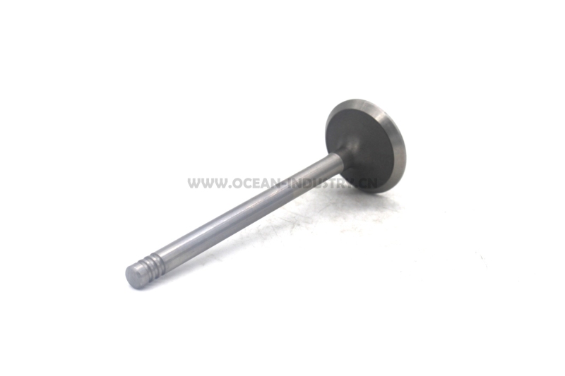 D6E Exhaust valve