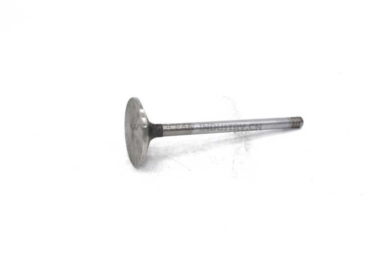 D7D Intake Valve