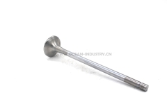 4926069  Intake Valve for QSM11 ISM1 M1