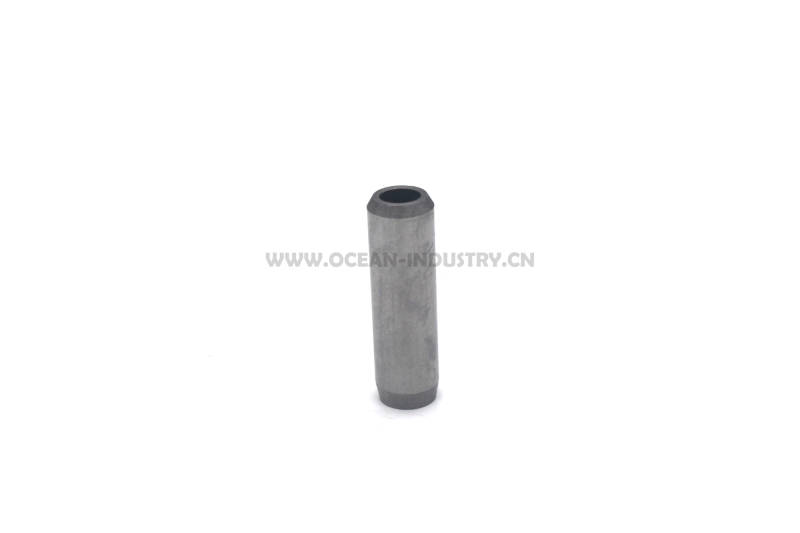 4M40 Valve guide