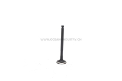 4TNV94 4TNV98 Exhaust valve