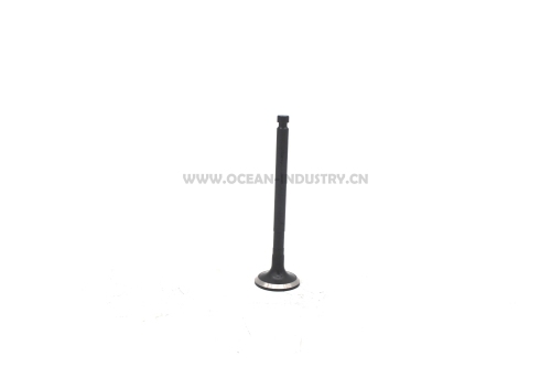 4TNV94 4TNV98 Exhaust valve