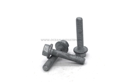 4022907 Hexagon Flange Head Cap Screw for QSM1 ISM11 M11