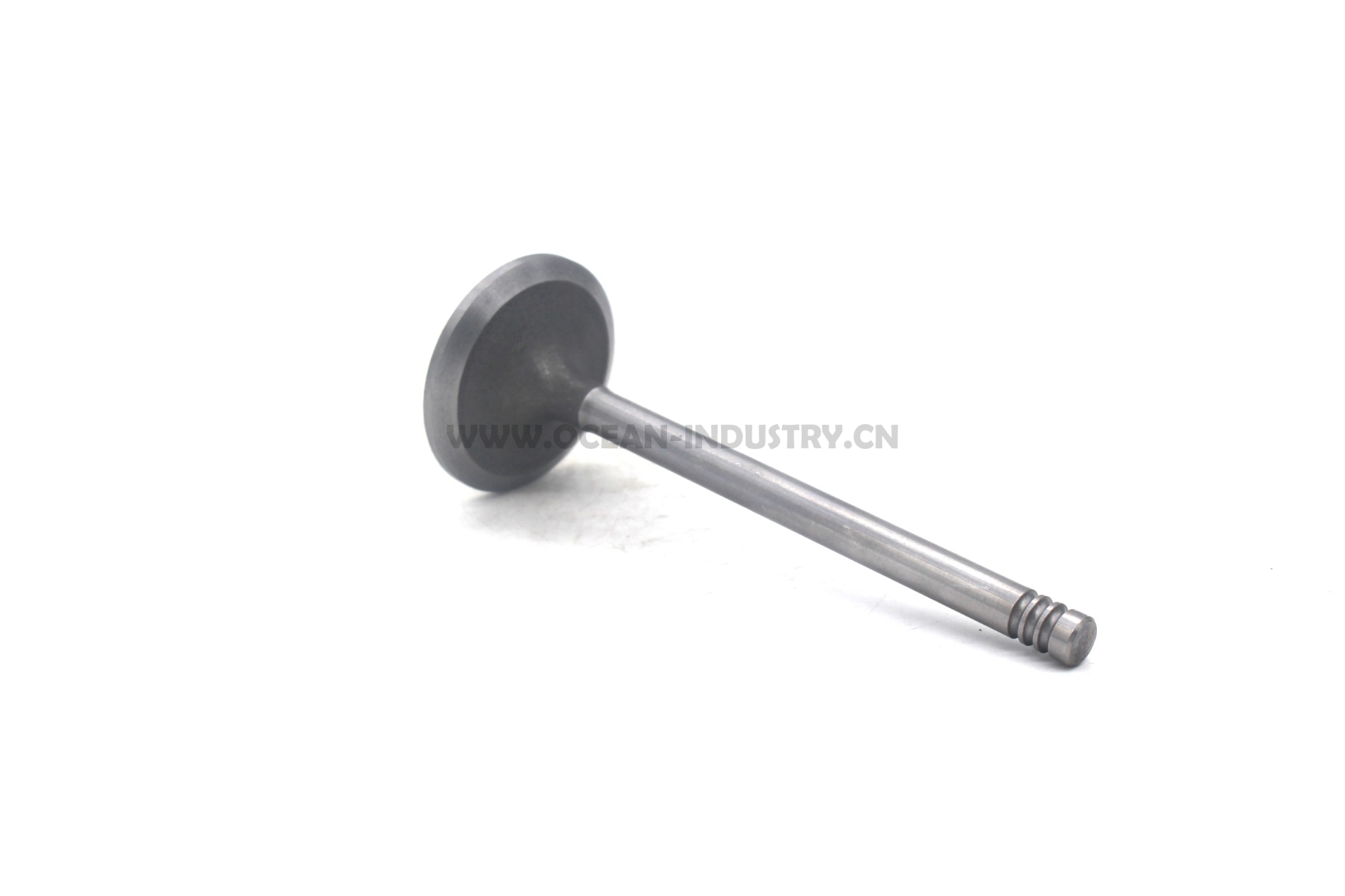 D6E Intake valve