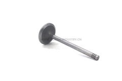 D6E Intake valve