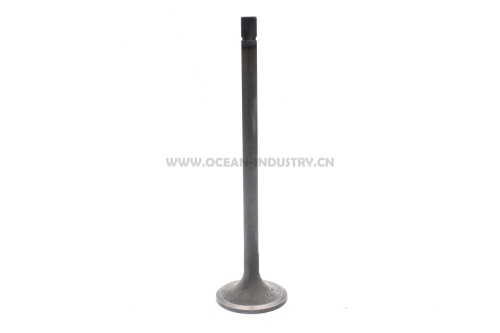 6D125 Intake valve