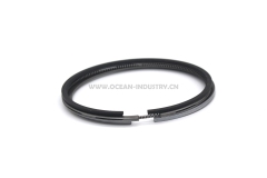 D6D D6E piston ring