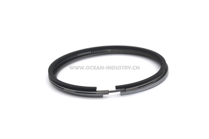 D6D D6E piston ring