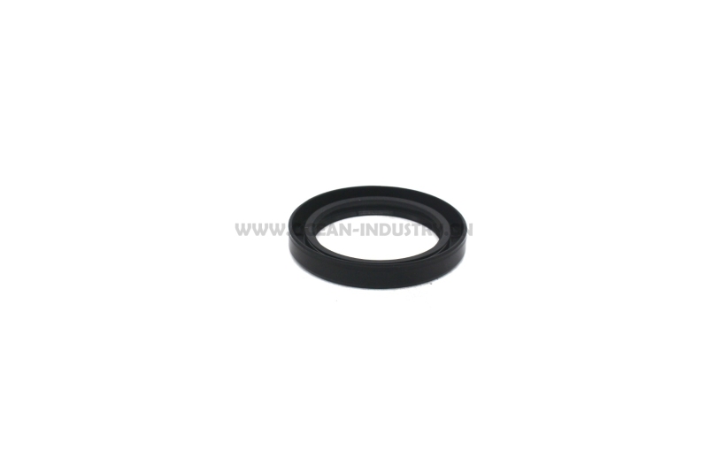 C6204213510 Oil seal for 4D95 B3.3