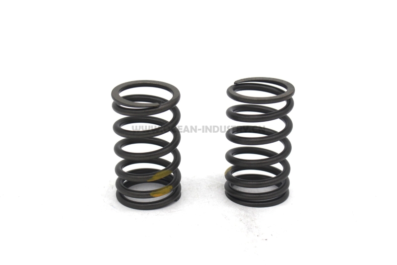 D6D Valve spring