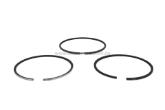 4309114 Piston Ring Kit  for L9.3 QSL9.3 6D114