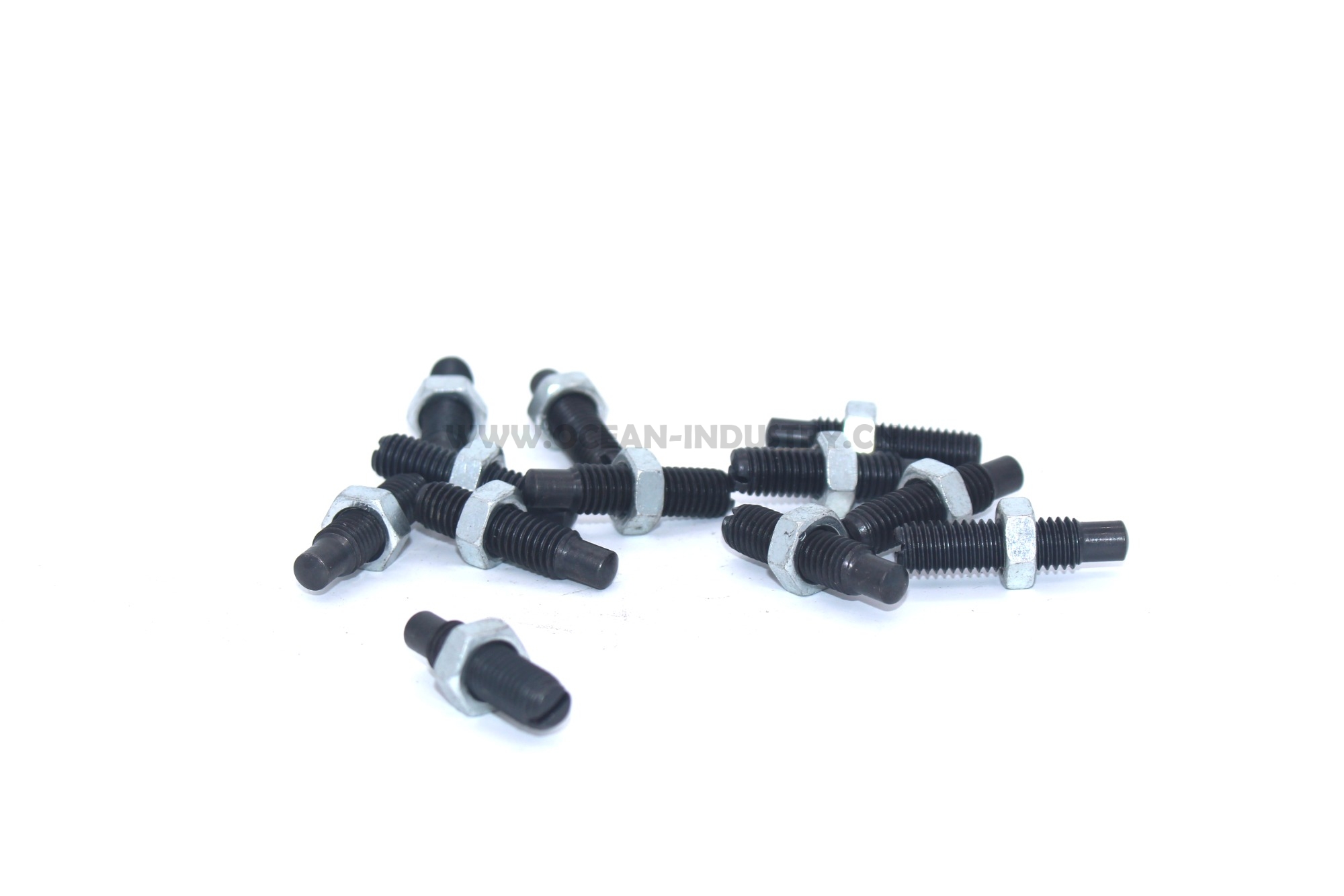 S6K Valve adjusting bolt