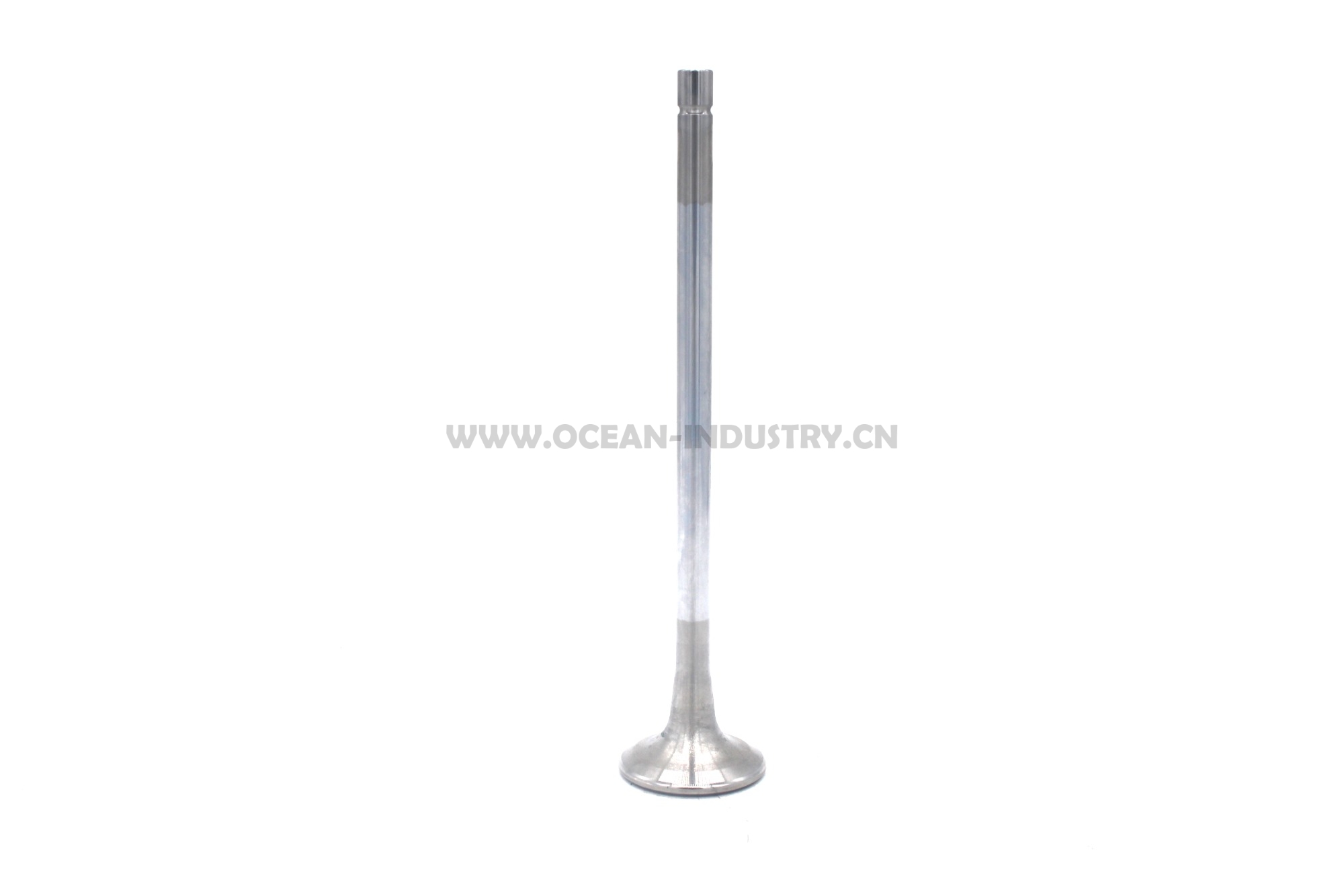 4926069  Intake Valve for QSM11 ISM1 M1