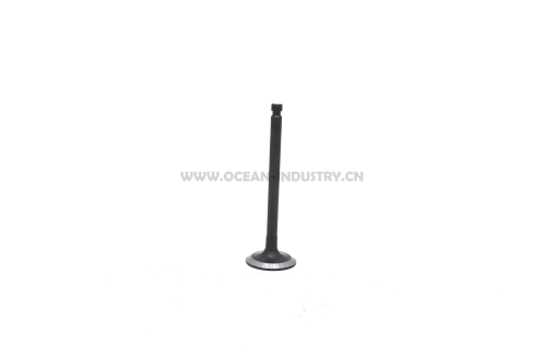 4TNV94 4TNV98 Intake valve