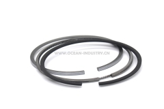 D6D D6E piston ring