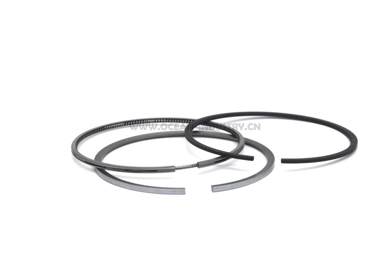 D6D D6E piston ring