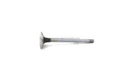 D6D Exhaust valve