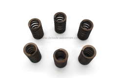 4936076 Valve Spring for QSL9.3 L340