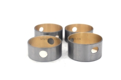 S6K Camshaft bearing