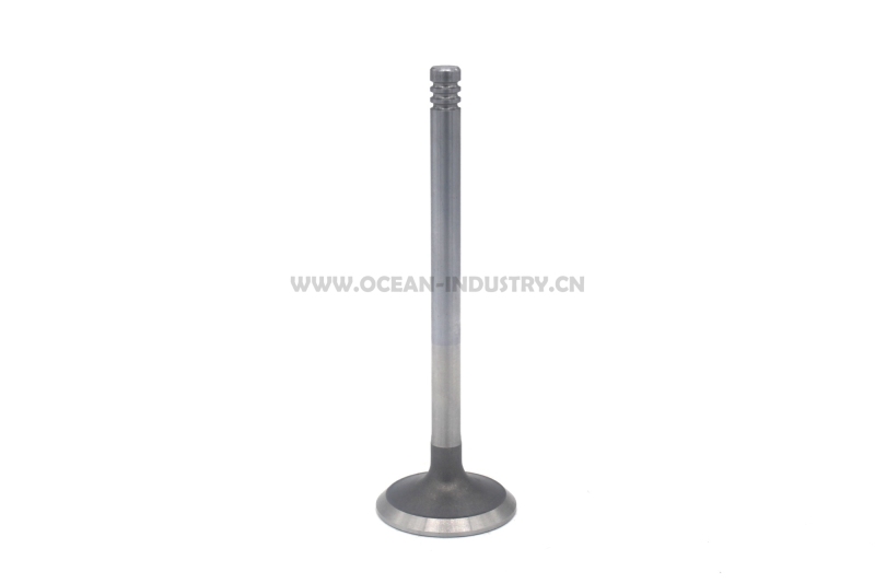 D6E Exhaust valve
