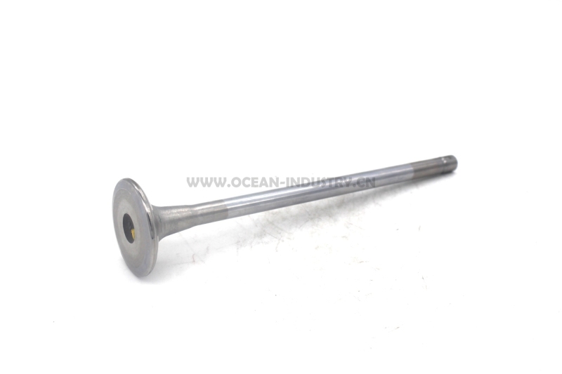 4926069  Intake Valve for QSM11 ISM1 M1