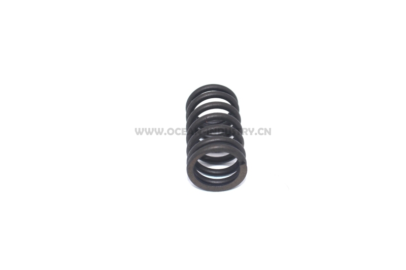 D7D Valve spring