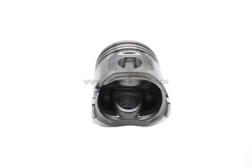 4TNV98T Piston