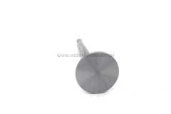 D6E Intake valve