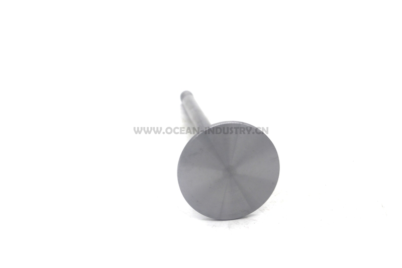D6E Intake valve