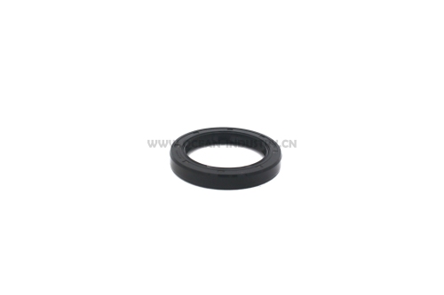 C6204213510 Oil seal for 4D95 B3.3