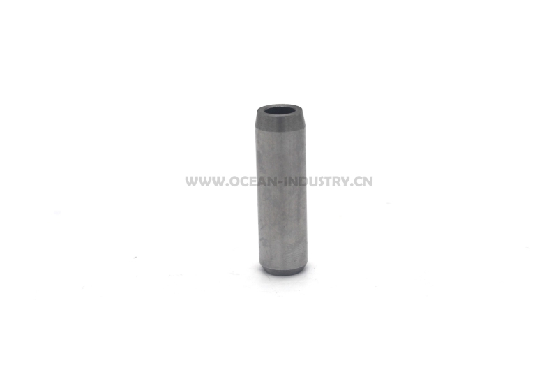 4M40 Valve guide
