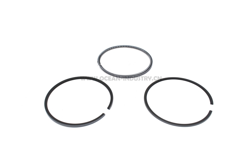 6D34 Piston ring