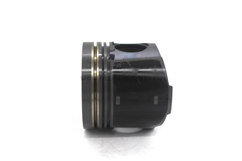 D6D Piston photosphated