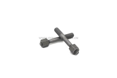 D7D Exhaust branch bolt