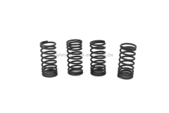6D34 Valve spring inner