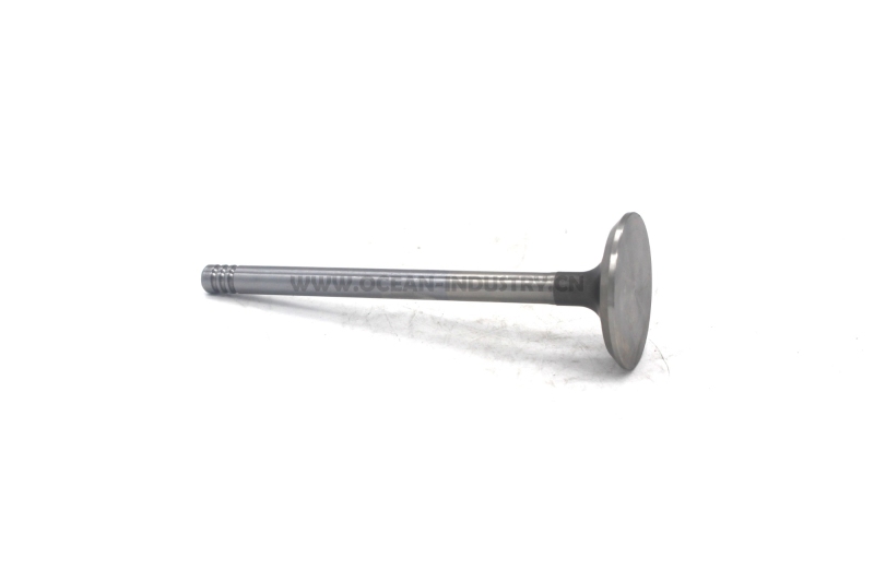 D6E Exhaust valve