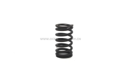 D7D Valve spring