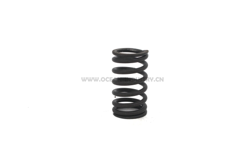 D7D Valve spring