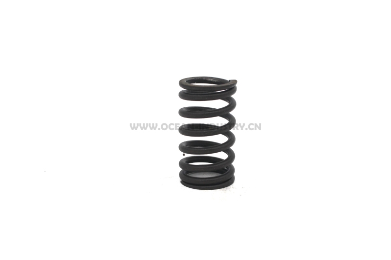 D7D Valve spring