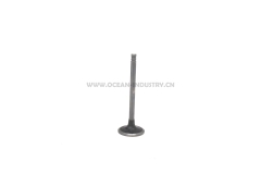 D6D Intake valve