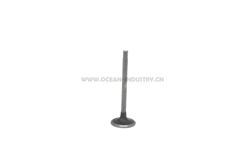 D6D Intake valve