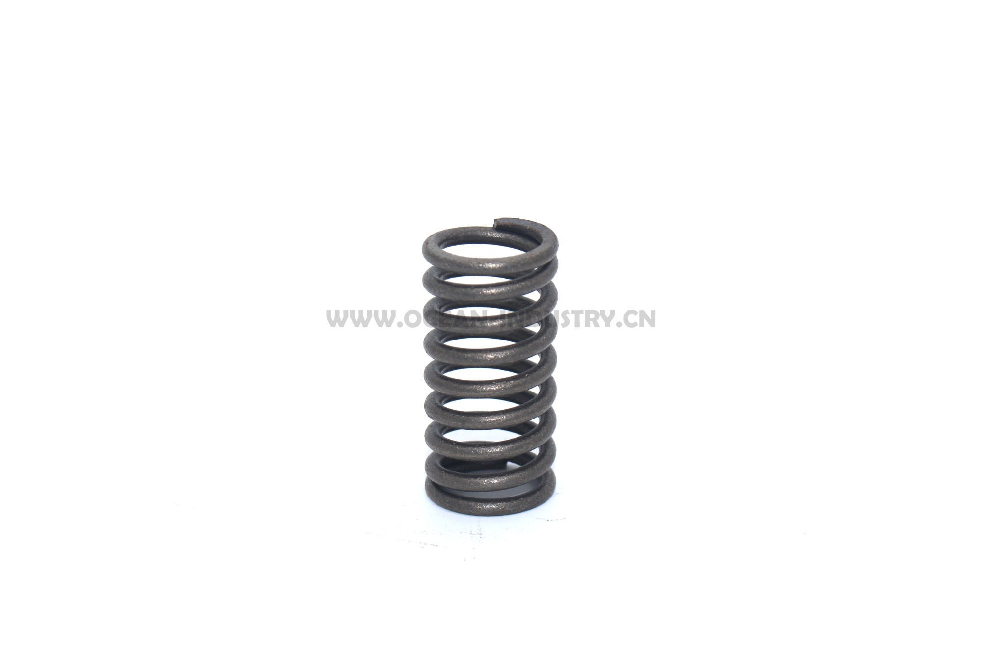 C6.4 Valve spring