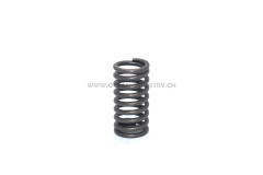 C6.4 Valve spring