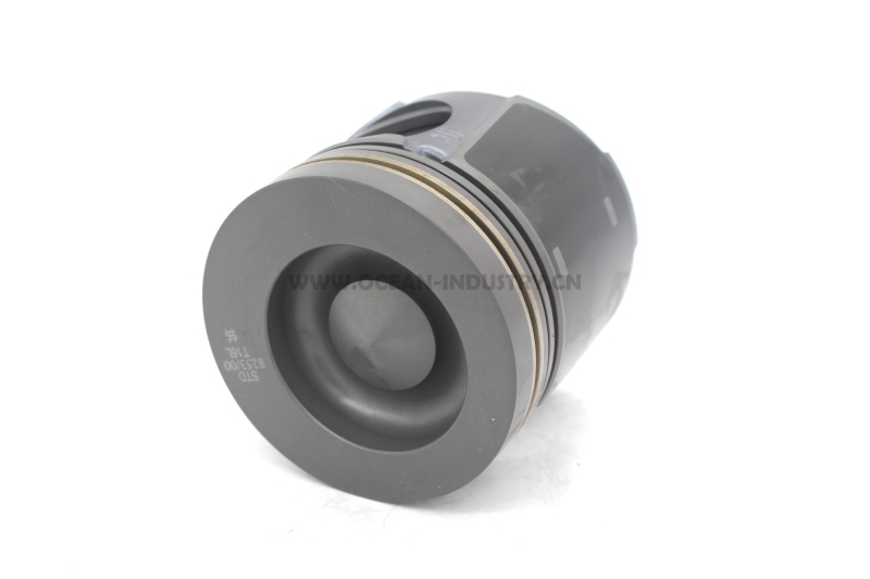 D6D Piston photosphated