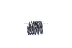 6D34 Valve spring outside