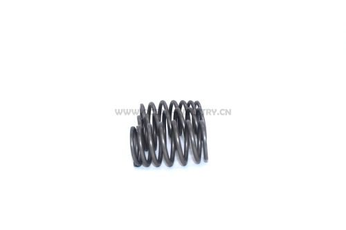 6D34 Valve spring outside