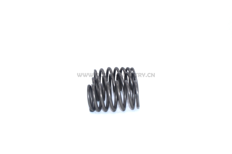6D34 Valve spring outside