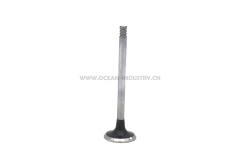 D6D Exhaust valve